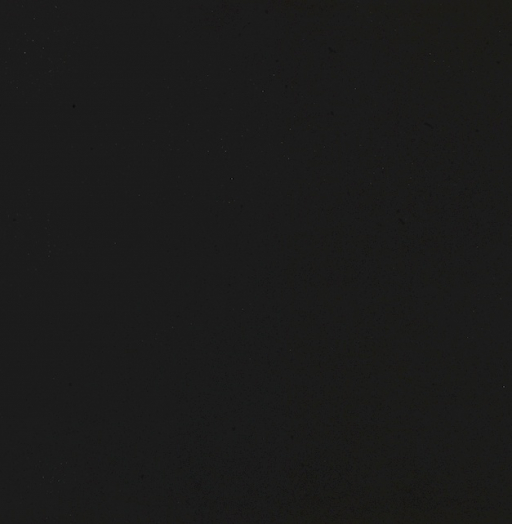 0720 NERO INGO