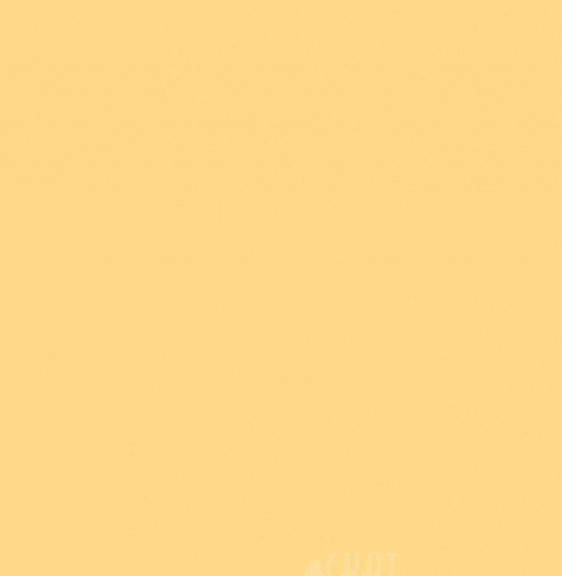 3029В