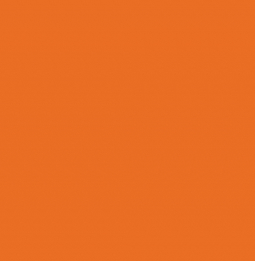 S027 Orange