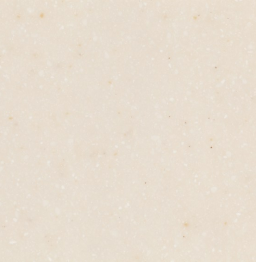 AS642 Seashell