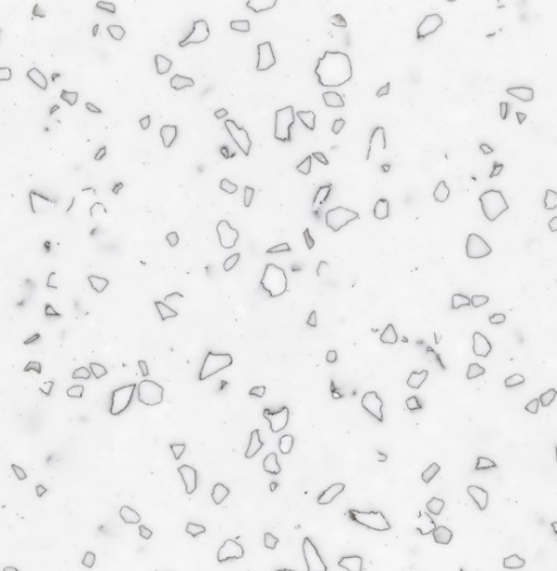 Dalmatian QD212