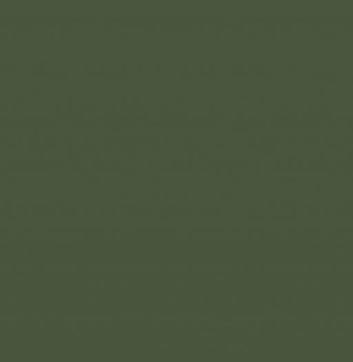 RAL 6003 Оливково-зеленый